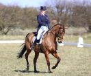 Image 51 in BURNHAM MARKET INTERNATIONAL HORSE TRIALS   MARCH  2013