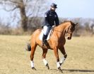 Image 52 in BURNHAM MARKET INTERNATIONAL HORSE TRIALS   MARCH  2013