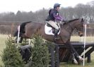 Image 8 in BURNHAM MARKET INTERNATIONAL HORSE TRIALS   MARCH  2013