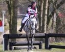 Image 19 in GT. WITCHINGHAM. DAY  3  APRIL  2013.