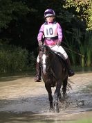 Image 33 in BECCLES AND BUNGAY RC. ODE. GELDESTON HALL 27 SEPT. 2015