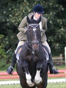 Image 104 in BECCLES AND BUNGAY RC. ODE. GELDESTON HALL 27 SEPT. 2015