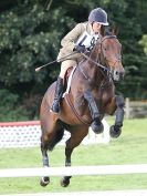 Image 117 in BECCLES AND BUNGAY RC. ODE. GELDESTON HALL 27 SEPT. 2015