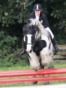 Image 43 in BECCLES AND BUNGAY RC. ODE. GELDESTON HALL 27 SEPT. 2015