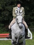 Image 69 in BECCLES AND BUNGAY RC. ODE. GELDESTON HALL 27 SEPT. 2015