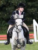 Image 77 in BECCLES AND BUNGAY RC. ODE. GELDESTON HALL 27 SEPT. 2015