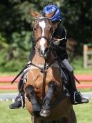 Image 91 in BECCLES AND BUNGAY RC. ODE. GELDESTON HALL 27 SEPT. 2015