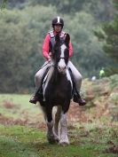 Image 25 in FINN VALLEY RC  PLEASURE RIDE. RENDLESHAM FOREST  18 OCT. 2015