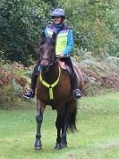 Image 46 in FINN VALLEY RC PLEASURE RIDE. RENDLESHAM FOREST 18 OCT. 2015