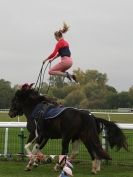 EAST ANGLIA EQUINE FAIR  2015.