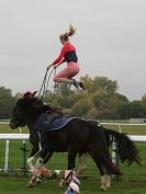 Image 1 in EAST ANGLIA EQUINE FAIR  2015.