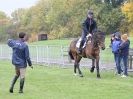 Image 31 in EAST ANGLIA EQUINE FAIR 2015.