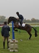 Image 33 in EAST ANGLIA EQUINE FAIR 2015.