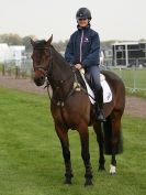 Image 35 in EAST ANGLIA EQUINE FAIR 2015.