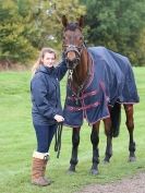 Image 36 in EAST ANGLIA EQUINE FAIR 2015.