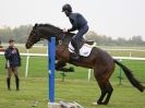 Image 37 in EAST ANGLIA EQUINE FAIR 2015.