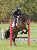 Image 38 in EAST ANGLIA EQUINE FAIR 2015.