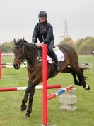 Image 39 in EAST ANGLIA EQUINE FAIR 2015.