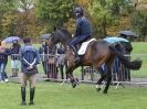 Image 40 in EAST ANGLIA EQUINE FAIR 2015.