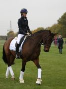 Image 42 in EAST ANGLIA EQUINE FAIR 2015.
