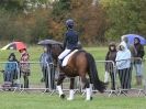 Image 43 in EAST ANGLIA EQUINE FAIR 2015.