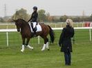 Image 44 in EAST ANGLIA EQUINE FAIR 2015.