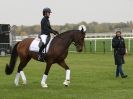 Image 45 in EAST ANGLIA EQUINE FAIR 2015.