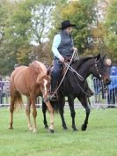 Image 48 in EAST ANGLIA EQUINE FAIR 2015.