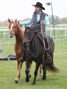 Image 50 in EAST ANGLIA EQUINE FAIR 2015.