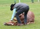 Image 58 in EAST ANGLIA EQUINE FAIR 2015.