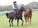Image 60 in EAST ANGLIA EQUINE FAIR 2015.