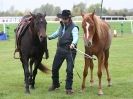 Image 61 in EAST ANGLIA EQUINE FAIR 2015.