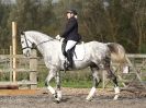 Image 15 in BROADS EC. DRESSAGE 31 OCT. 2015.