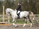 Image 15 in BROADS  EC.  DRESSAGE  31 OCT. 2015.