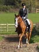 Image 17 in BROADS EC. DRESSAGE 31 OCT. 2015.