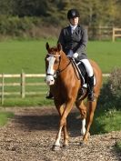 Image 17 in BROADS  EC.  DRESSAGE  31 OCT. 2015.