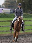 Image 20 in BROADS  EC.  DRESSAGE  31 OCT. 2015.