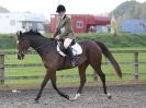 Image 28 in BROADS EC. DRESSAGE 31 OCT. 2015.