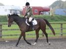 Image 28 in BROADS  EC.  DRESSAGE  31 OCT. 2015.