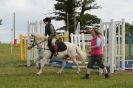 Image 127 in THE  STRUMPSHAW  PARK  RIDING  CLUB  OPEN  15 JULY 2012