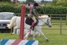 Image 128 in THE  STRUMPSHAW  PARK  RIDING  CLUB  OPEN  15 JULY 2012