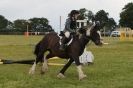 Image 141 in THE  STRUMPSHAW  PARK  RIDING  CLUB  OPEN  15 JULY 2012