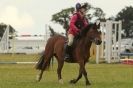 Image 155 in THE  STRUMPSHAW  PARK  RIDING  CLUB  OPEN  15 JULY 2012