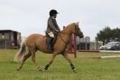 Image 156 in THE  STRUMPSHAW  PARK  RIDING  CLUB  OPEN  15 JULY 2012