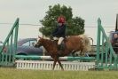 Image 160 in THE  STRUMPSHAW  PARK  RIDING  CLUB  OPEN  15 JULY 2012