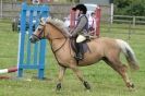 Image 165 in THE  STRUMPSHAW  PARK  RIDING  CLUB  OPEN  15 JULY 2012