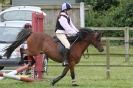 Image 166 in THE  STRUMPSHAW  PARK  RIDING  CLUB  OPEN  15 JULY 2012