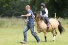 Image 171 in THE  STRUMPSHAW  PARK  RIDING  CLUB  OPEN  15 JULY 2012