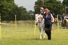 Image 172 in THE  STRUMPSHAW  PARK  RIDING  CLUB  OPEN  15 JULY 2012