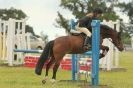 Image 199 in THE  STRUMPSHAW  PARK  RIDING  CLUB  OPEN  15 JULY 2012